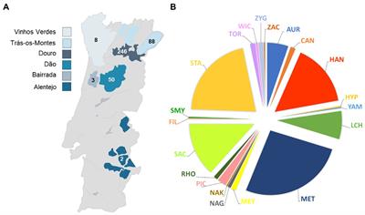 Biocontrol potential of wine yeasts against four grape phytopathogenic fungi disclosed by time-course monitoring of inhibitory activities